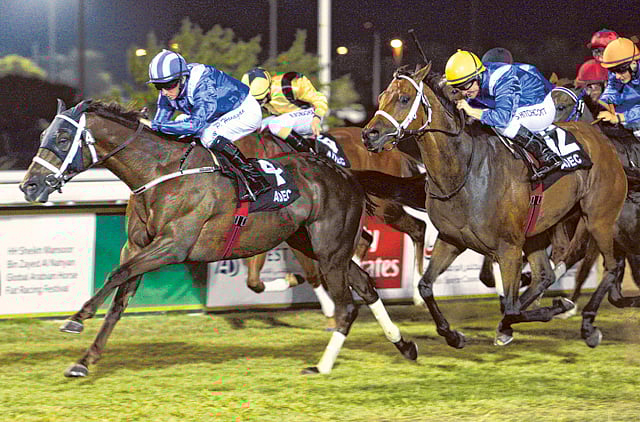 1.1302063-2171770204