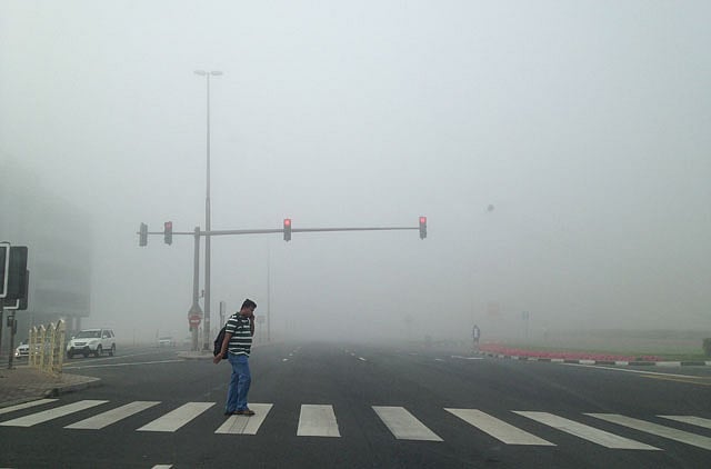 1.1301689-2125266811