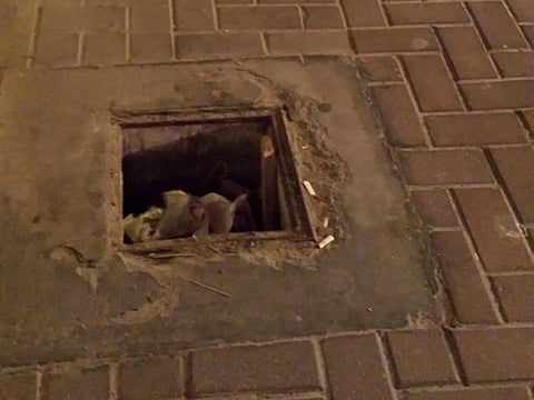 Murali Mohan Rachamalla