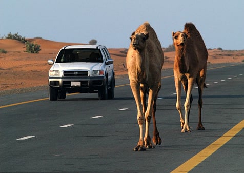 Step-by-step guide to buying a new car