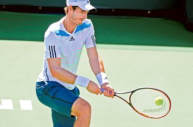 1.1305586-1756446797