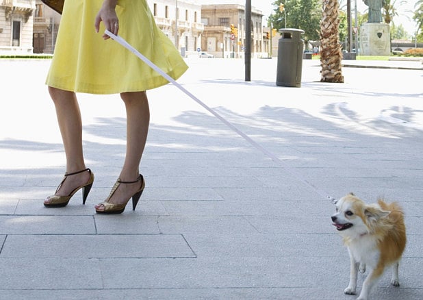 1.1306360-2175863925