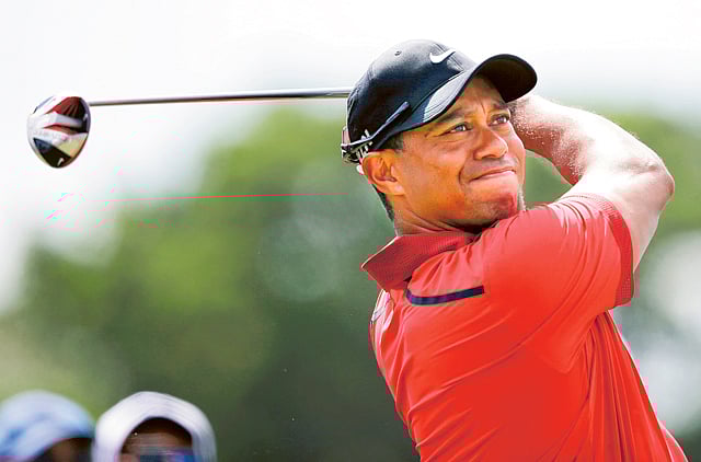 1.1306036-2313620927