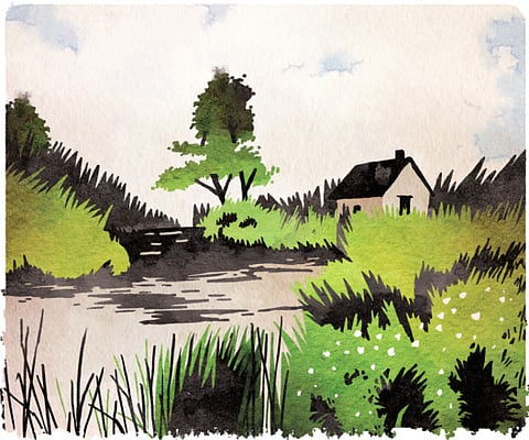 Amanda Hodgkinson explores family lies