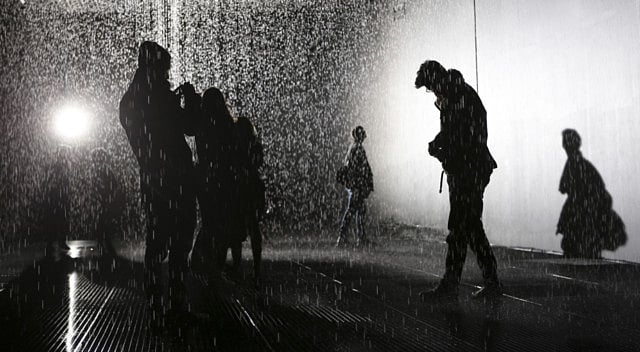 1.1306405-1154536066