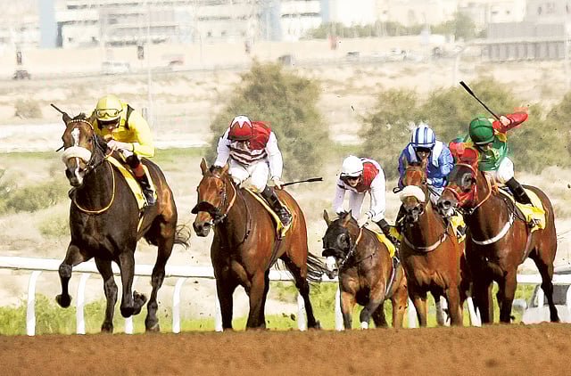 1.1307004-4281422722