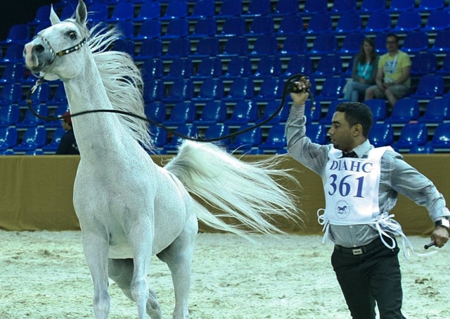 1.1306858-1945484563