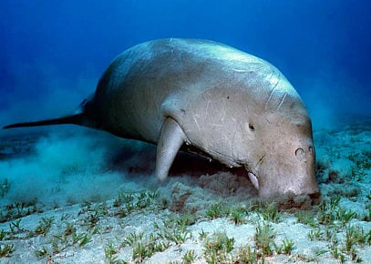 1.1308081-3468195078