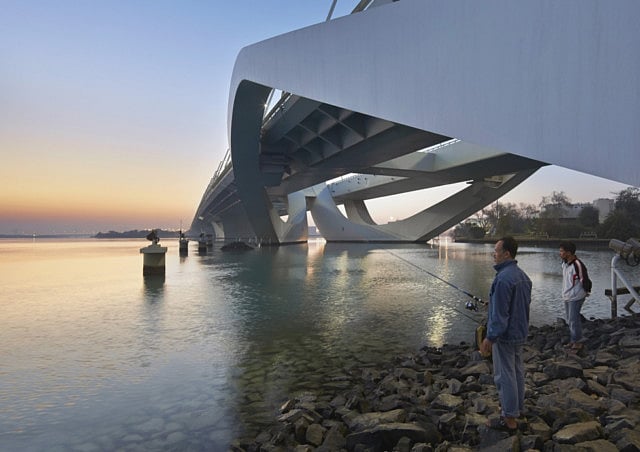 1.1308093-2614460545