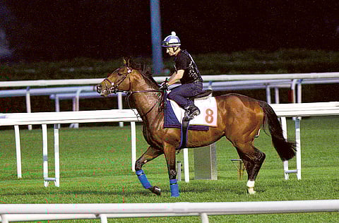 Virendra Saklani/Gulf News