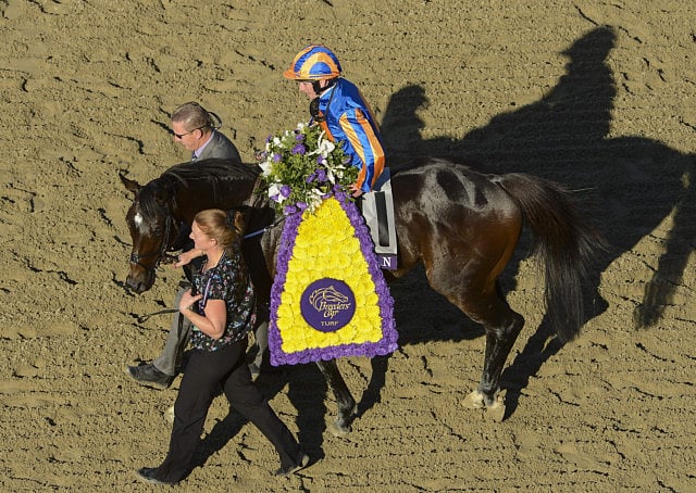 1.1309421-2126790235