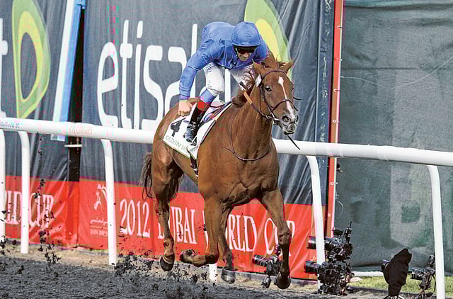 1.1309648-2330796685