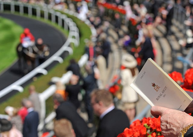 1.1309414-2756936069