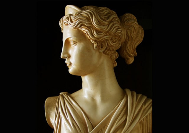 1.1306529-1571748724