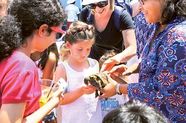 1.1310302-2280555825