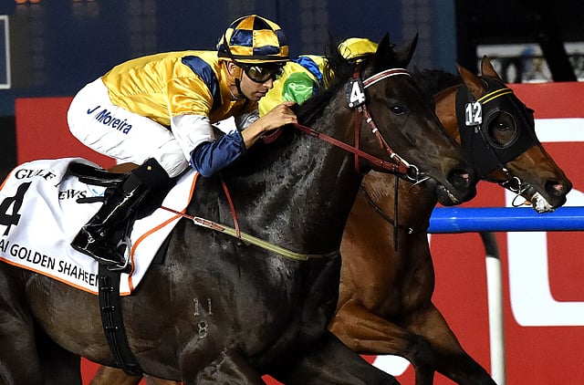 1.1310382-1359528184