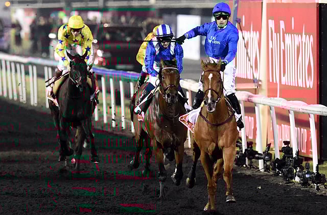 1.1310451-3617505772