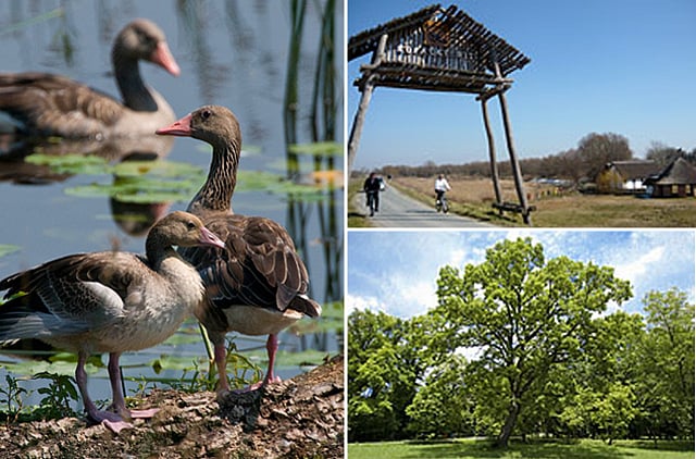 1.1310200-2774275457