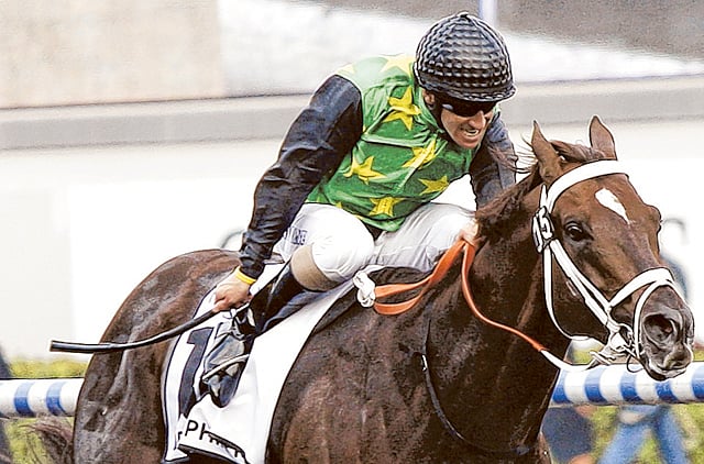 1.1310331-3321889408