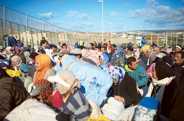 1.1311715-3588917826