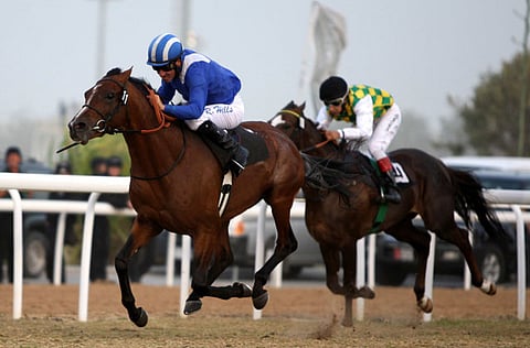  ABDEL-KRIM KALLOUCHE/GULFNEWS