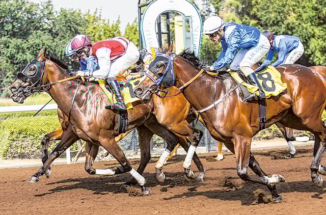 1.1300767-3827569598