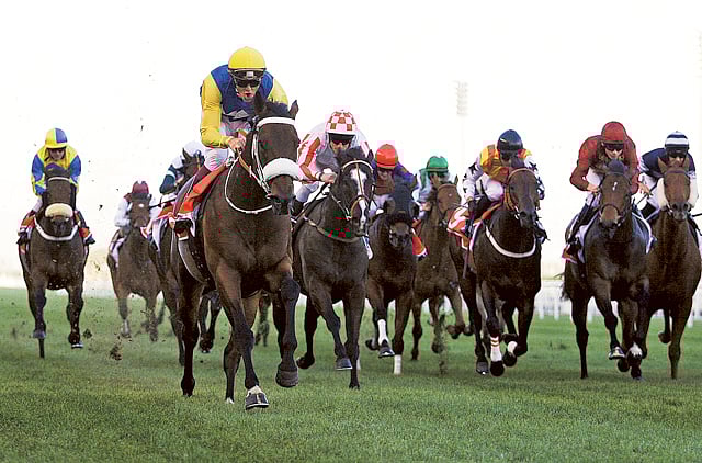 1.1300715-3102280197