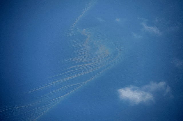 1.1302516-3190055724