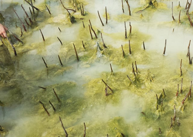 1.1312498-3022867697