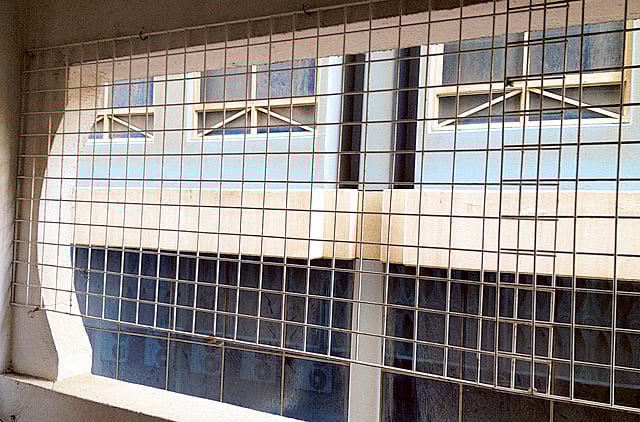 1.1318281-1676006566