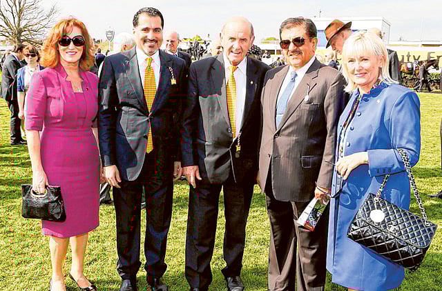 1.1318462-1541335162