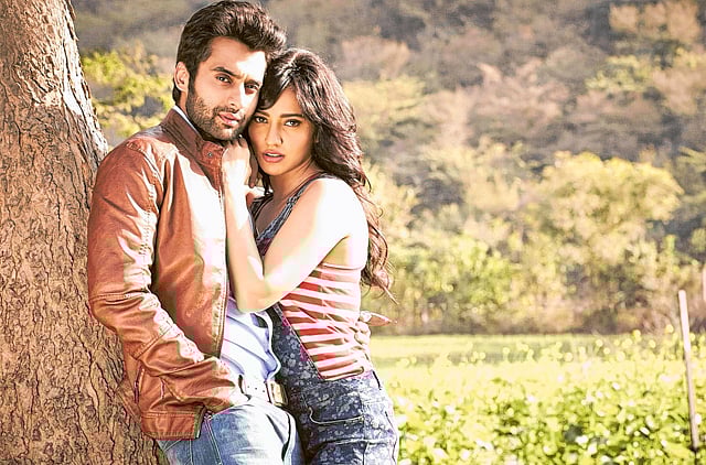 1.1319539-2587189829