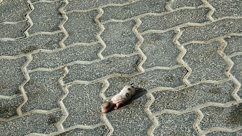 Letters: April 20, 2014