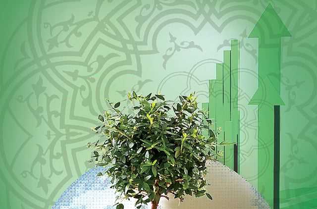 1.1312745-1672620146