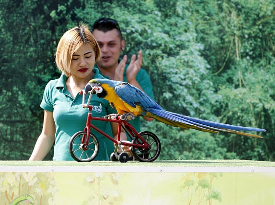 1.1312756-3508544925