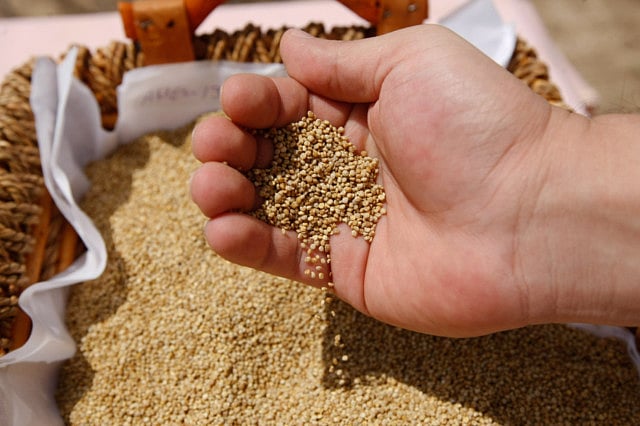 1.1322351-1342872189