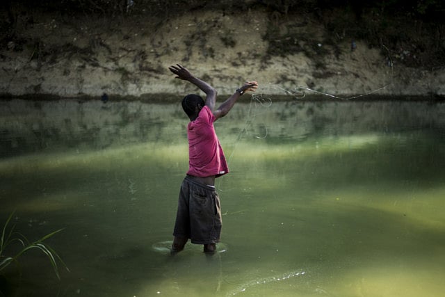 1.1324316-3523011484