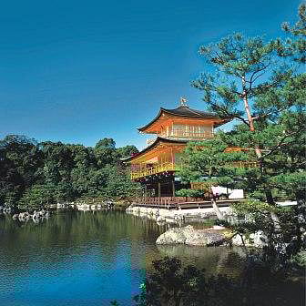 1.1324665-3678207039