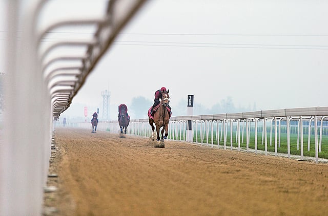 1.1314840-2737399572