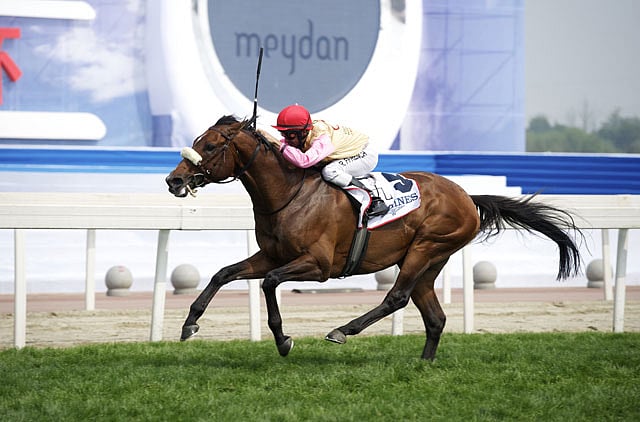 1.1315832-2089240431