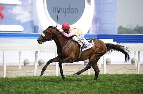 Courtesy: Dubai Racing Club