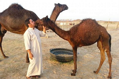 Al Sharq