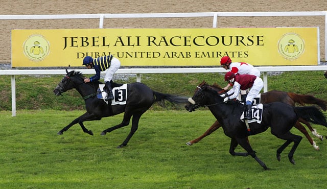 1.1331673-4218347904