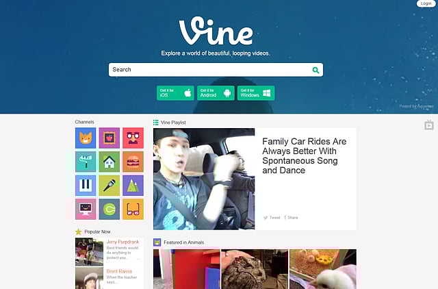 1.1331878-1972125040