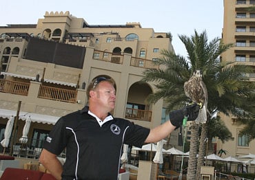 Cheryl Robertson/GN Focus