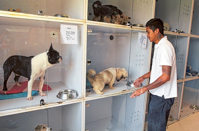 1.1333547-1780233589