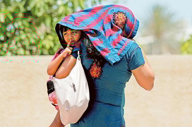 1.1333542-2646459944