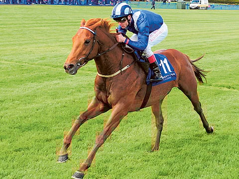 Mustajeeb and Pat Smullen winning for trainer Dermot Weld.
