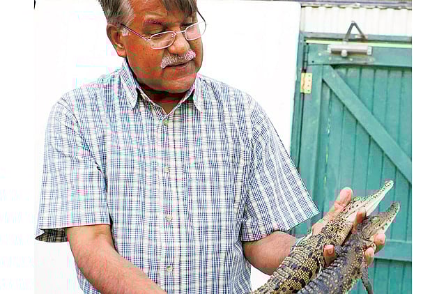 1.1327555-2842896932