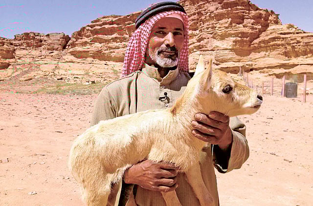 1.1328353-1695973118